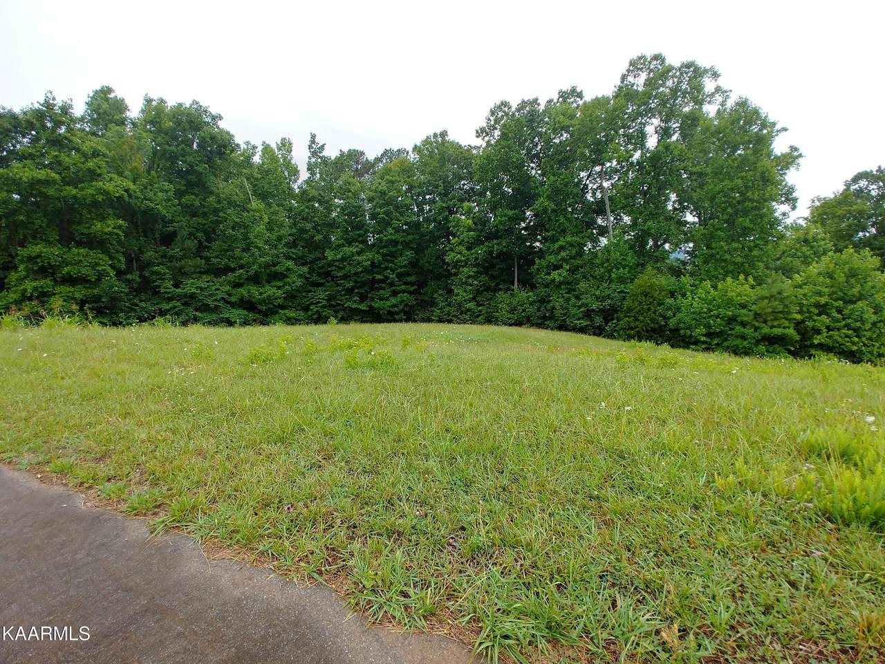 Mill Drive - Photo 1