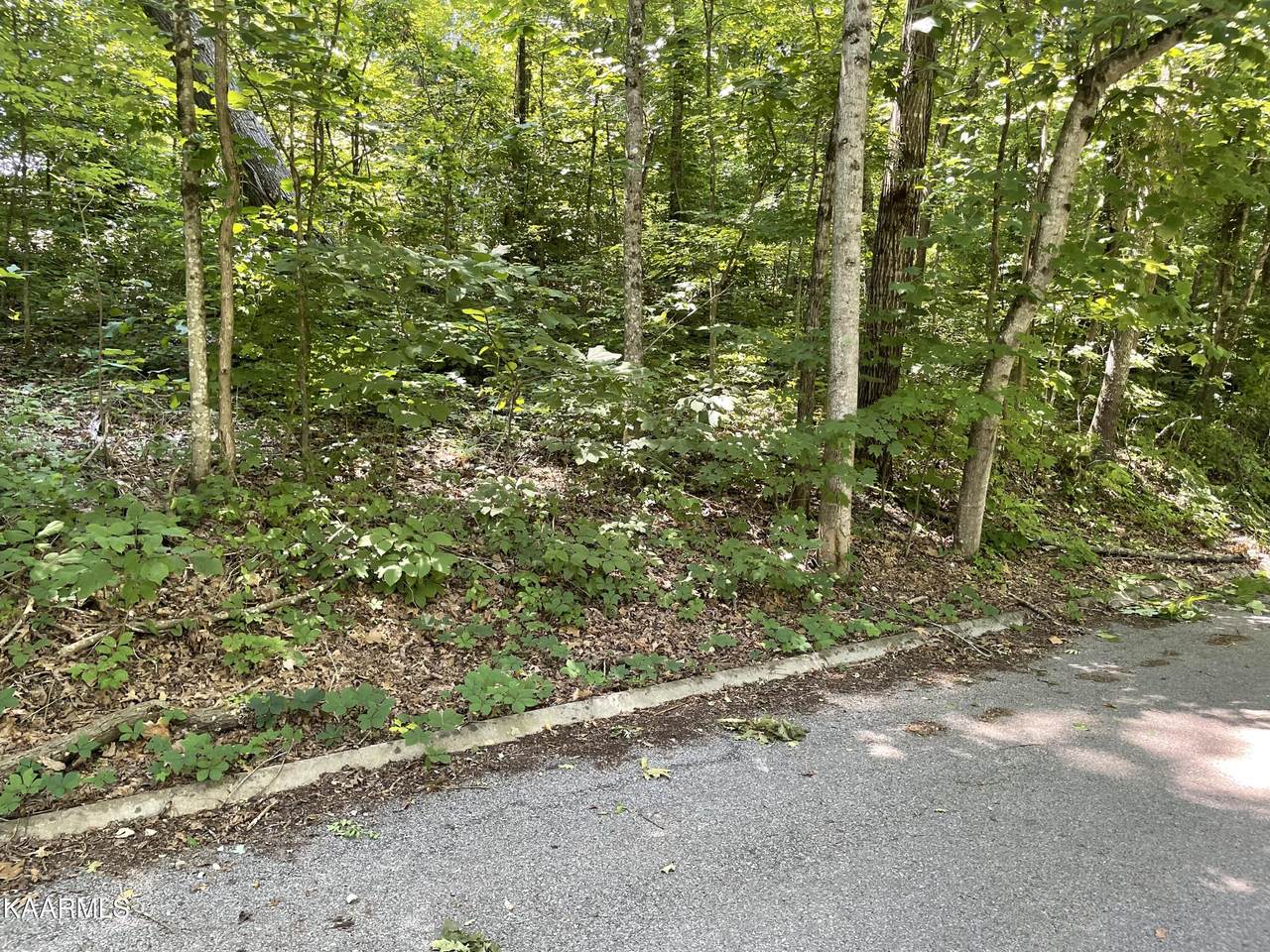 3320 Gumstand Drive - Photo 1
