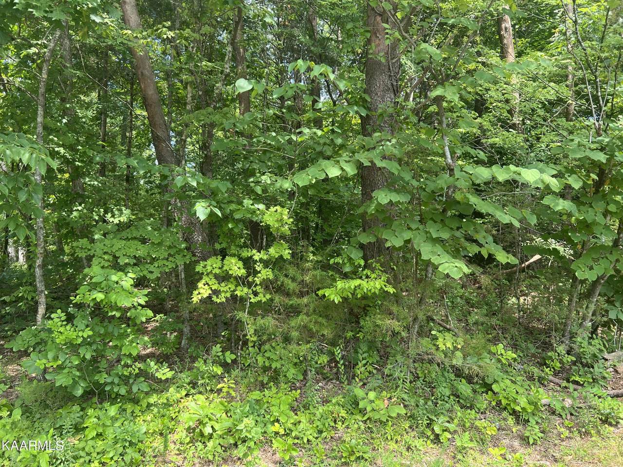 142 Noya Lane - Photo 1