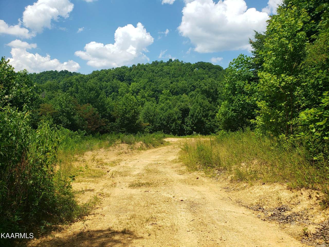 Twin Fawn Trail - Photo 1