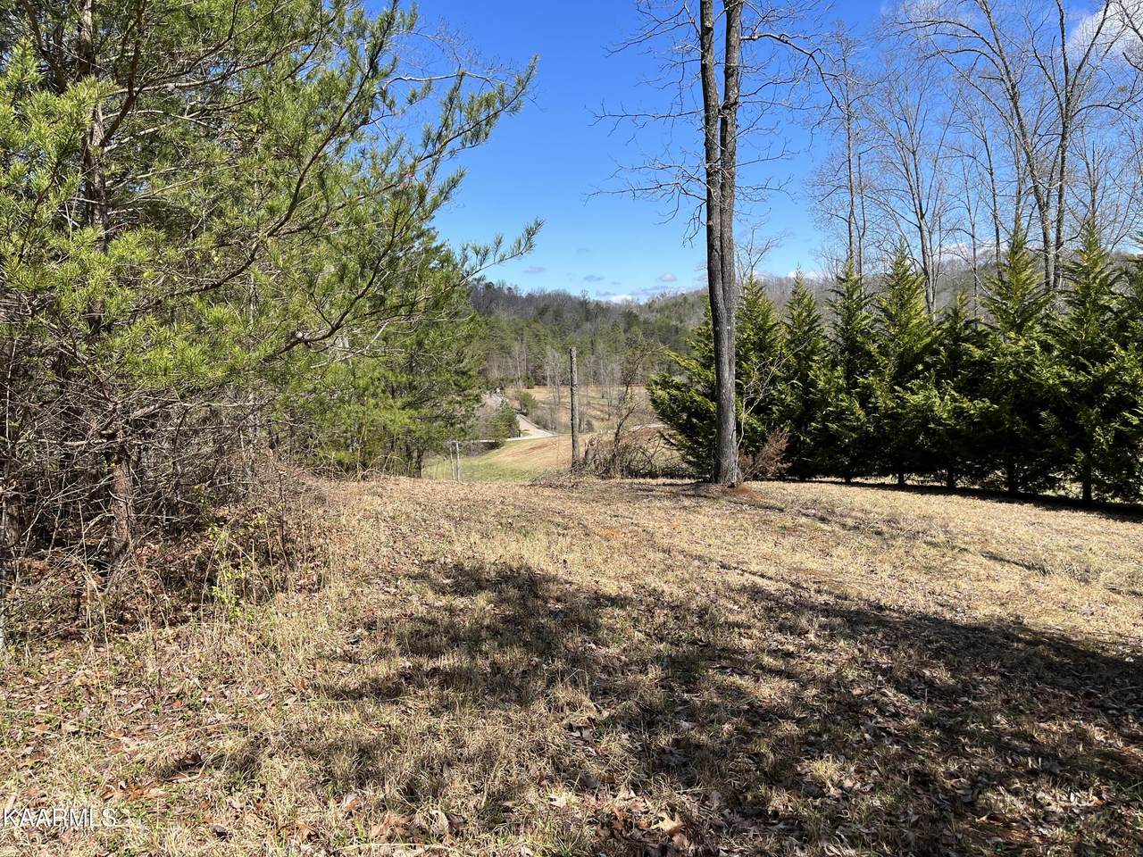 115 Springwater - Photo 1