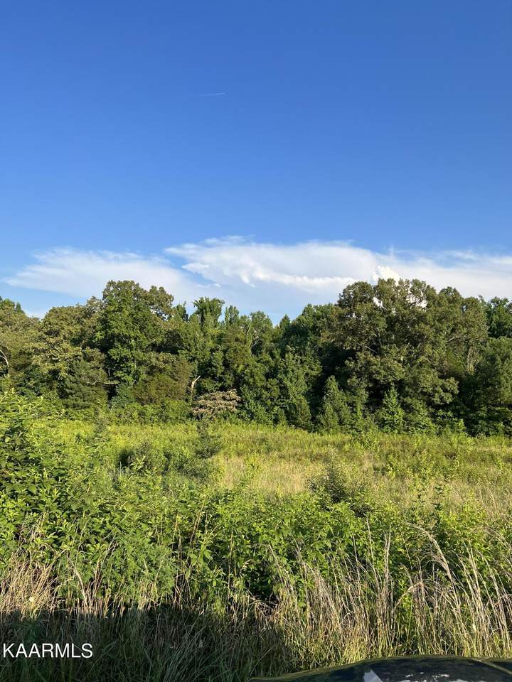 Highway 68 - Photo 1
