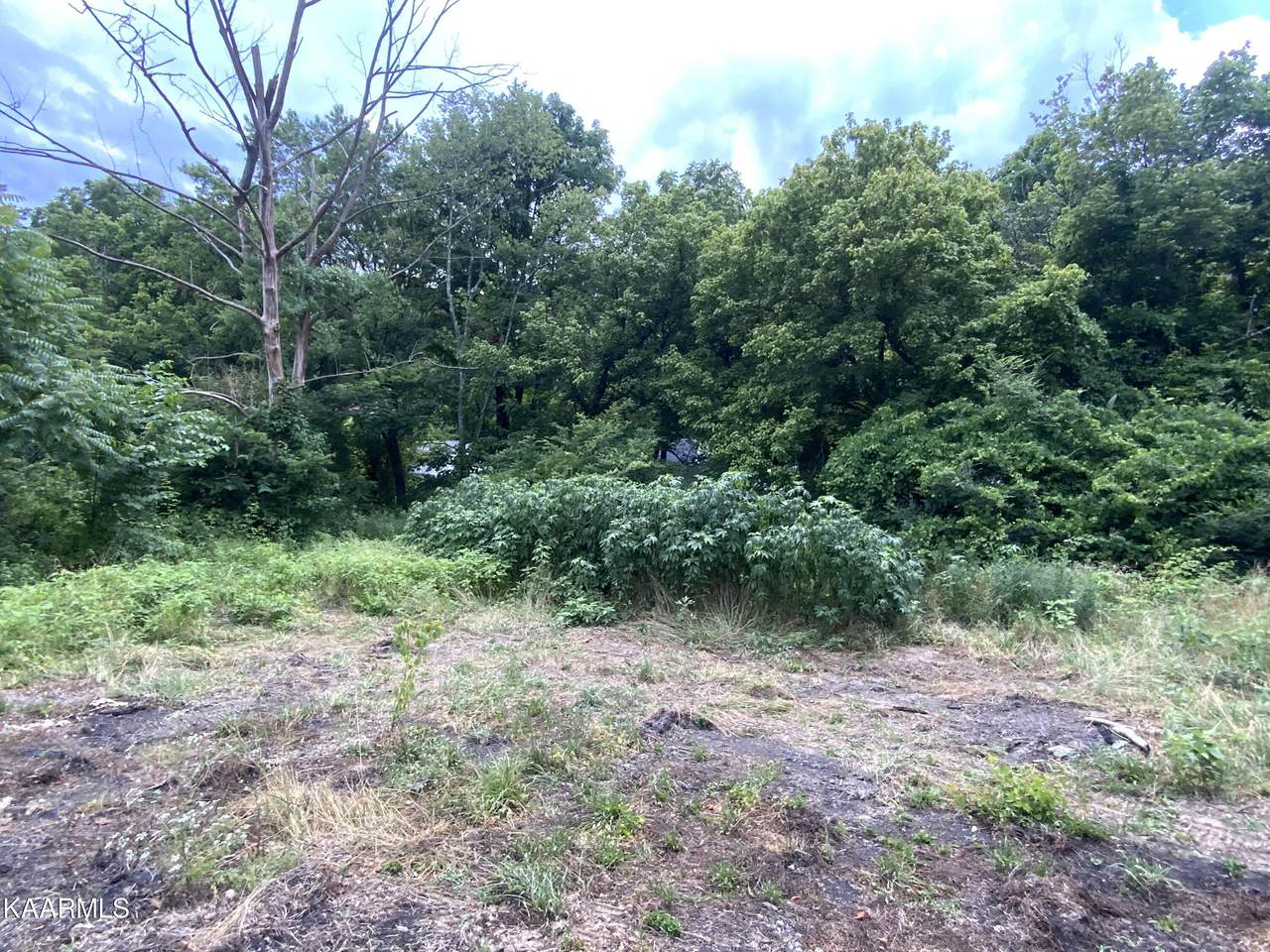 137 Bolin Rd - Photo 1