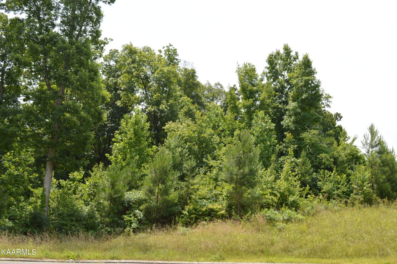 Lot 41 Greystone Lane - Photo 1