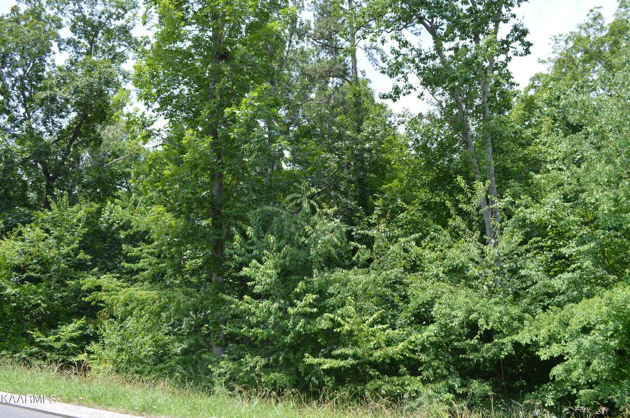 Lot 34 Old Pond Rd - Photo 1
