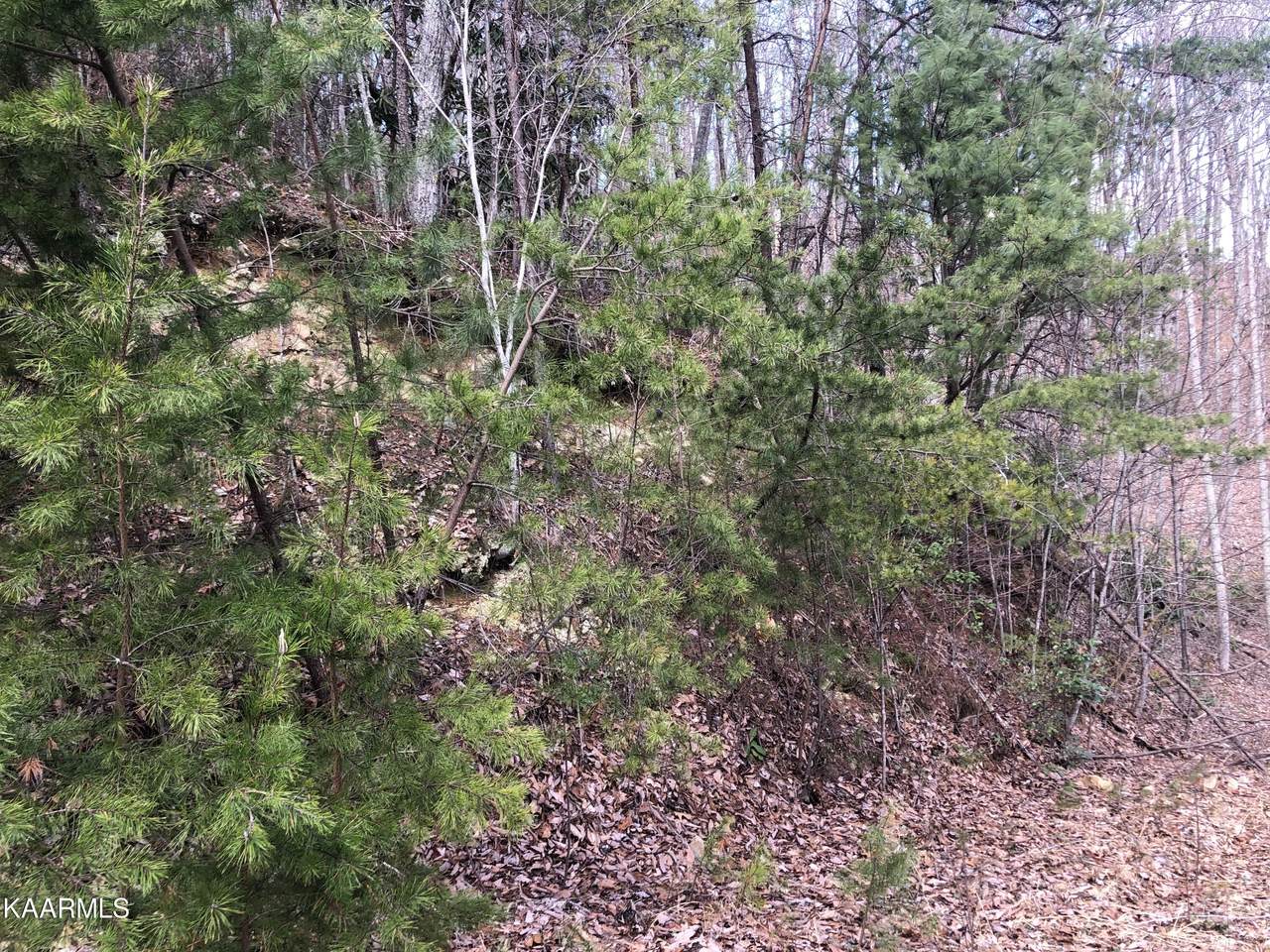 Lot 2 Leatherwood Drive - Photo 1