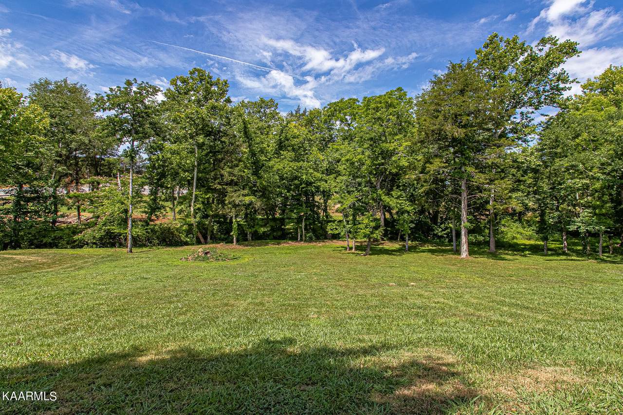 1715 Serene Cove Way - Photo 1