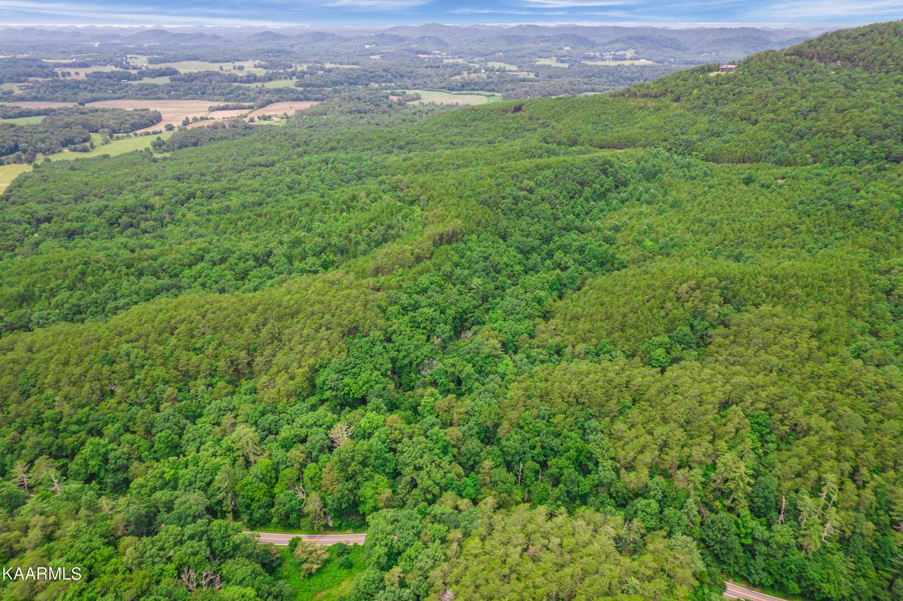 0 Highway 360 - Photo 1