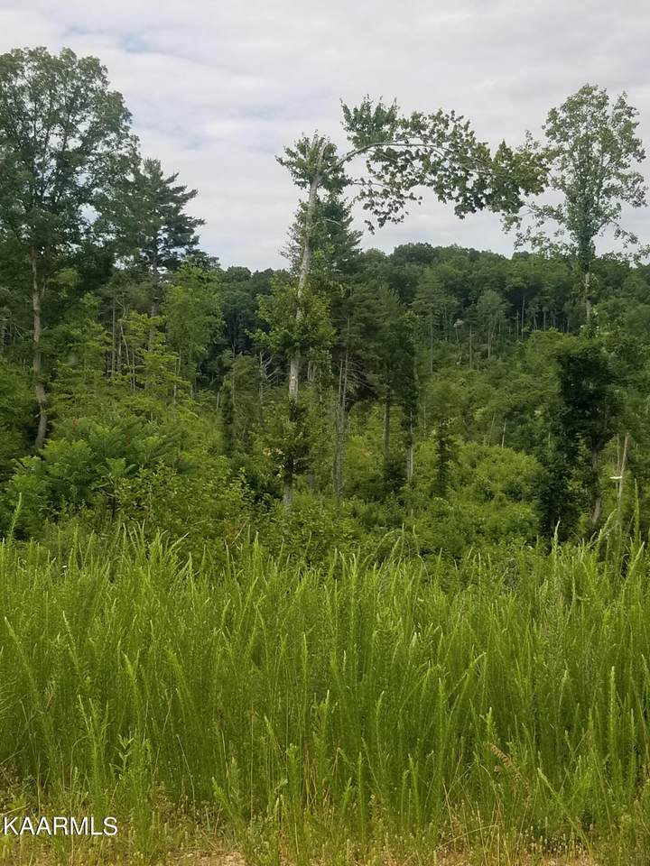 1055 Catoosa Rd - Photo 1