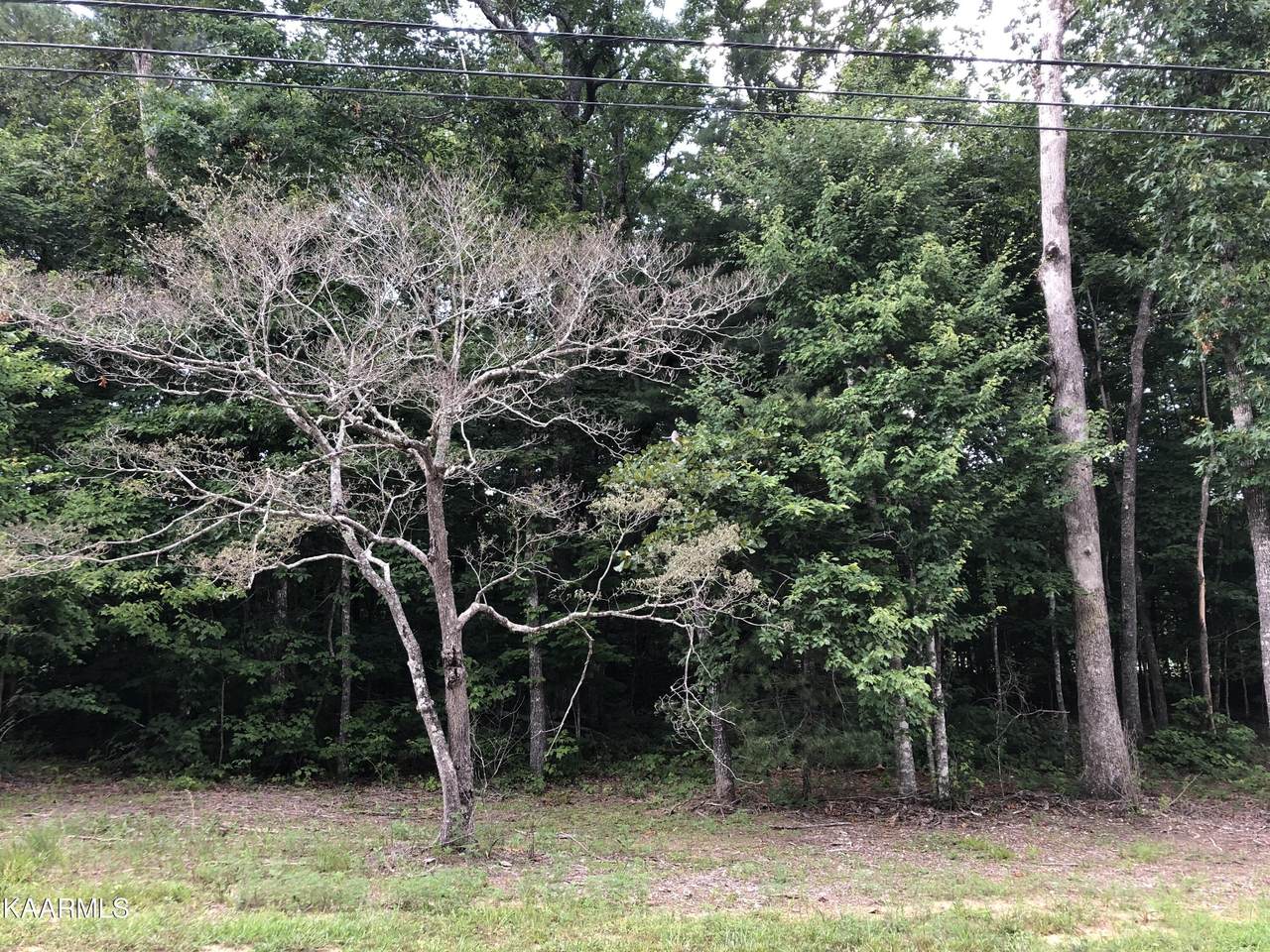 686 Westchester Drive - Photo 1