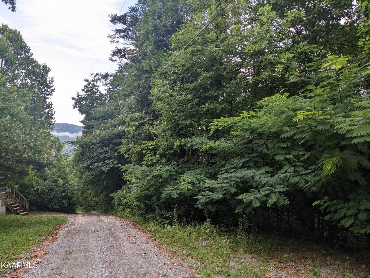 211 Mountain Retreat Rd - Photo 1