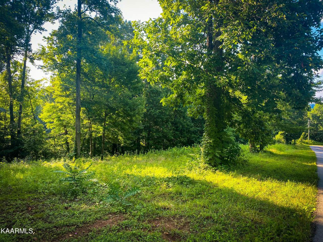 Hickory Pointe Lane - Photo 1