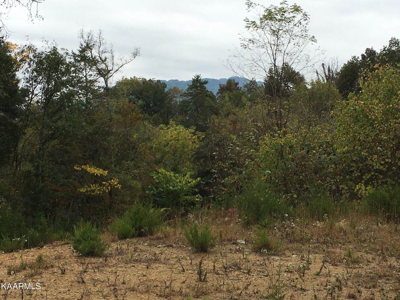 179 Pleasant Hill Rd - Photo 1