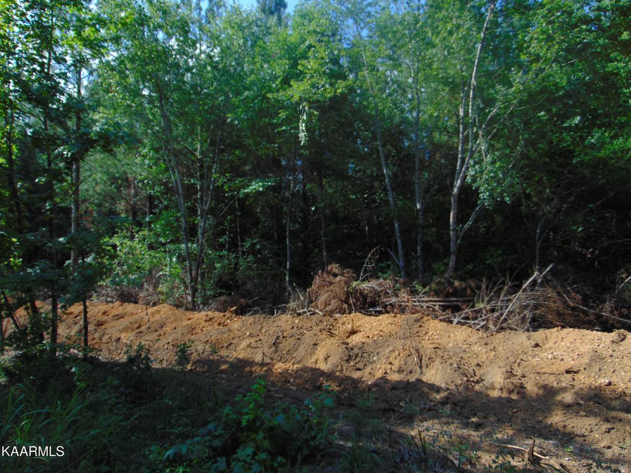 Tract 1F Charles Road - Photo 1