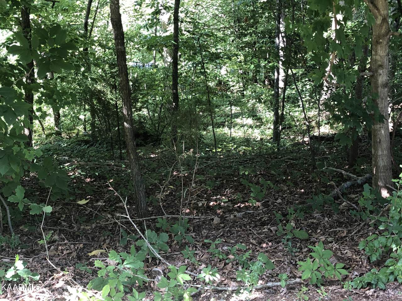 211 Osage Lane - Photo 1