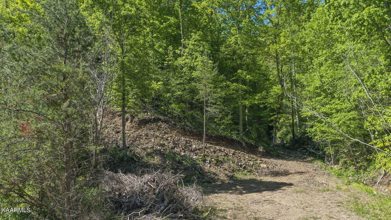 379 Pressmans Home Rd - Photo 1