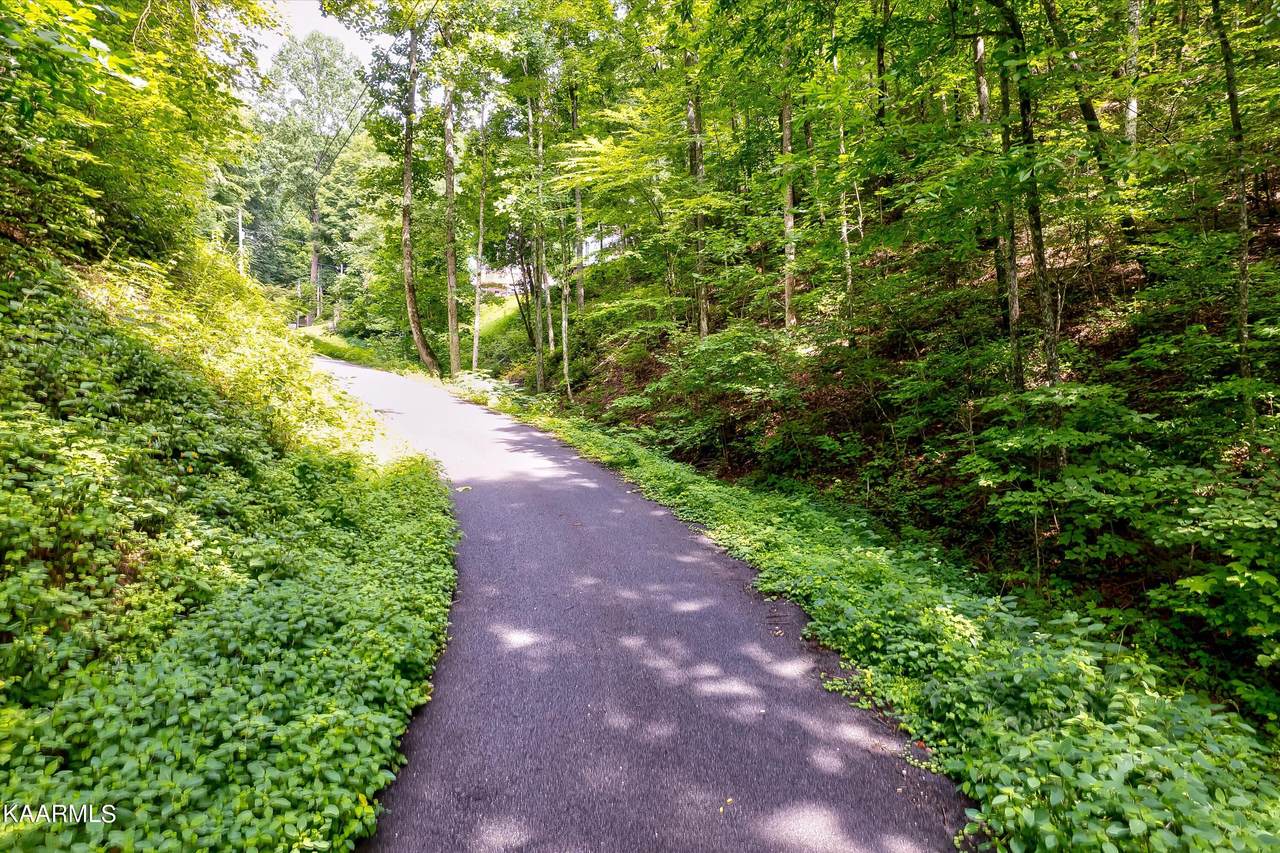 Hidden Valley Rd - Photo 1