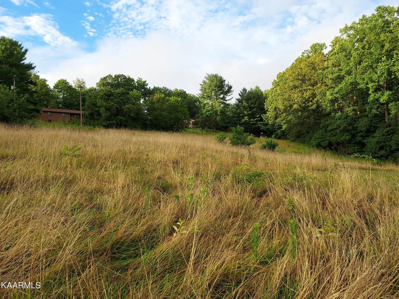 TBD Luther Villa Rd - Photo 1