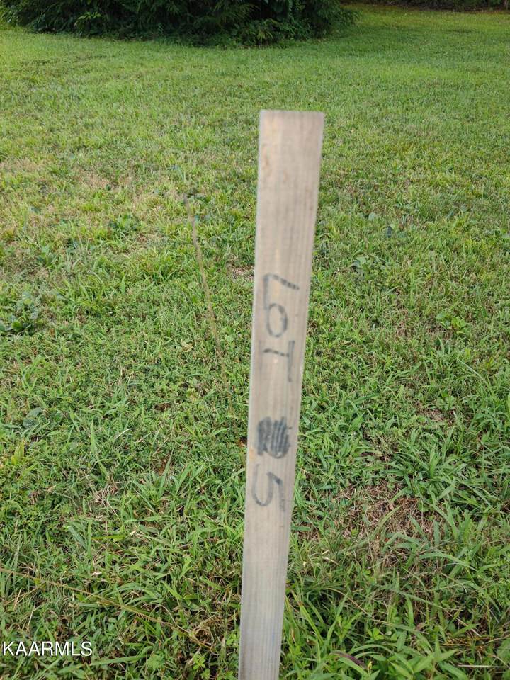 145 Westwing Cave Rd - Photo 1