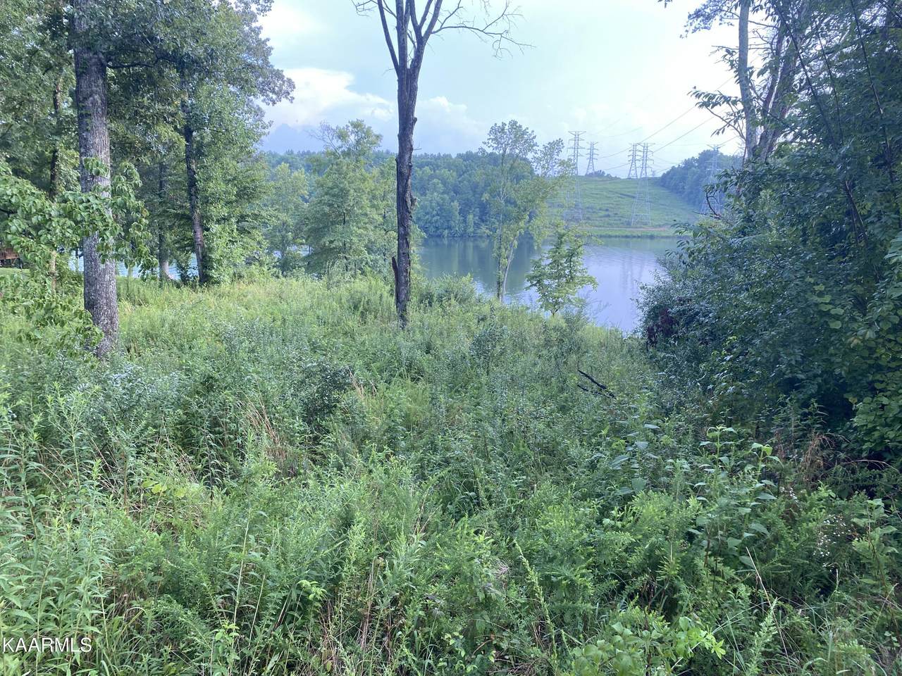 628/630 Emory River Rd - Photo 1