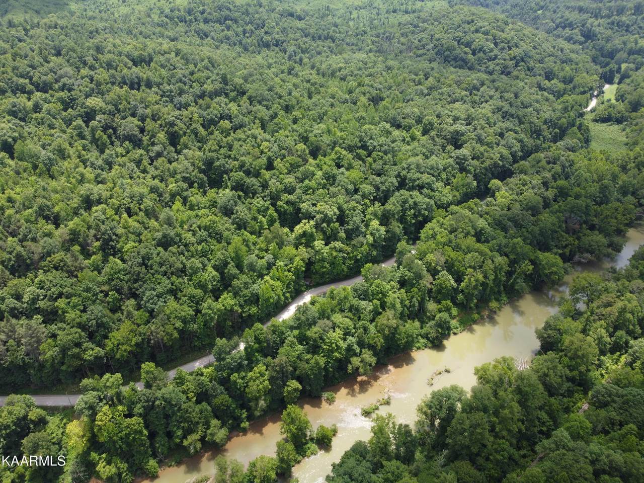 W/O Bull Creed Rd. Rd - Photo 1