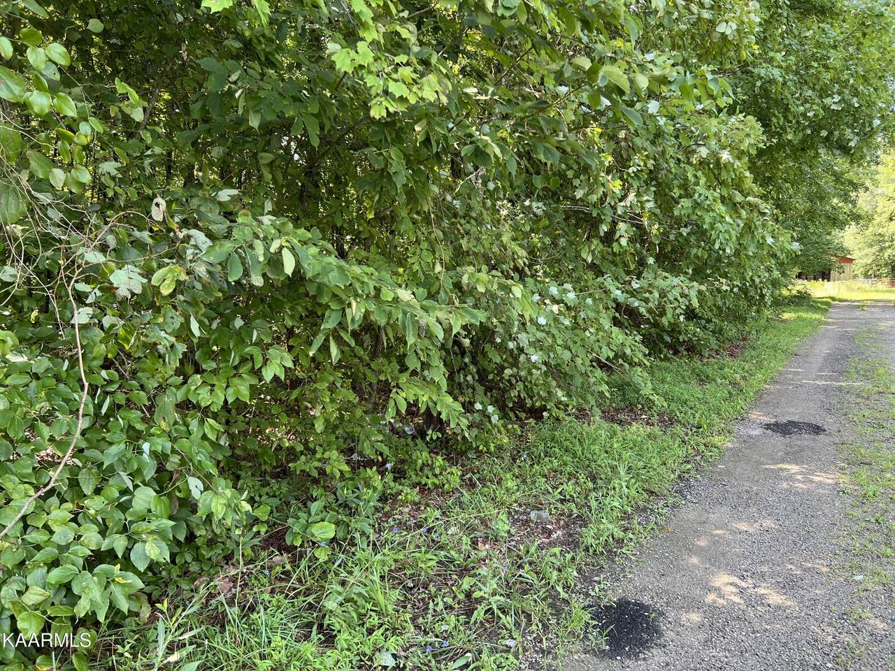 George Young Rd - Photo 1