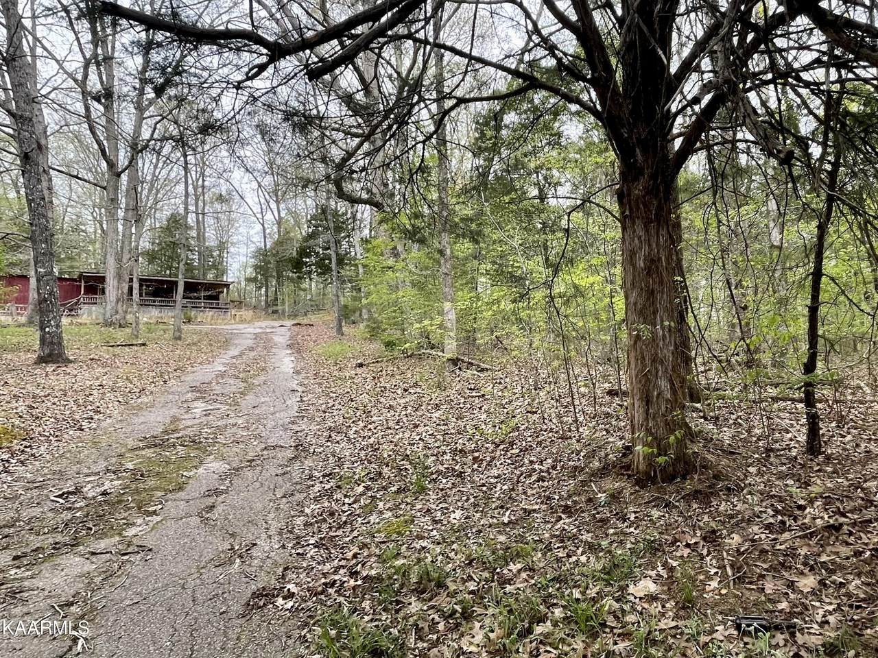 444 Cypress Creek Rd - Photo 1
