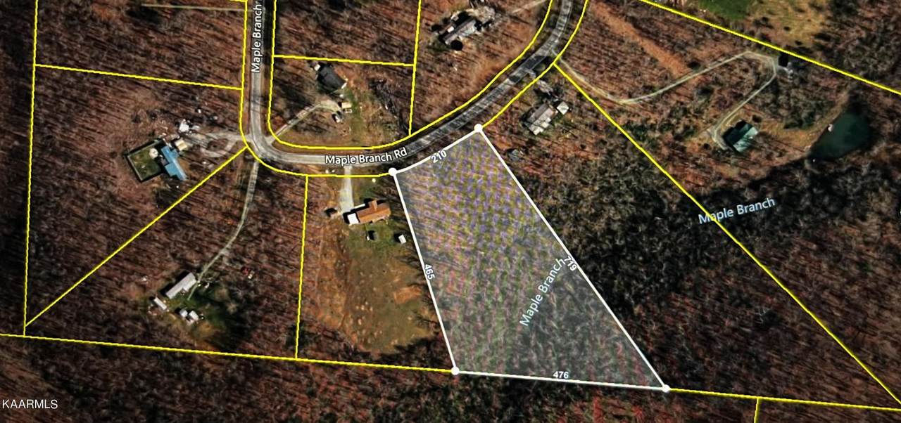Maple Branch Rd - Photo 1