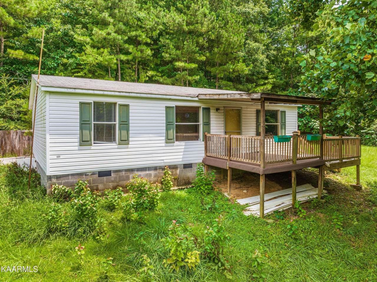 256 County Road 267 - Photo 1