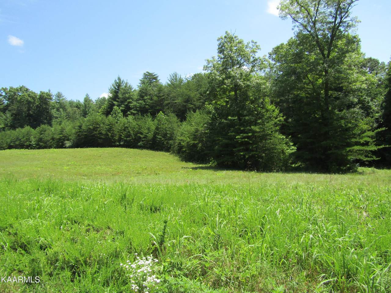 Lot 29 Hwy 62 - Photo 1