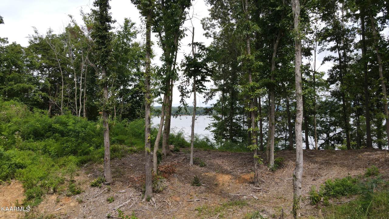 Lot 109 Big Cove Drive - Photo 1
