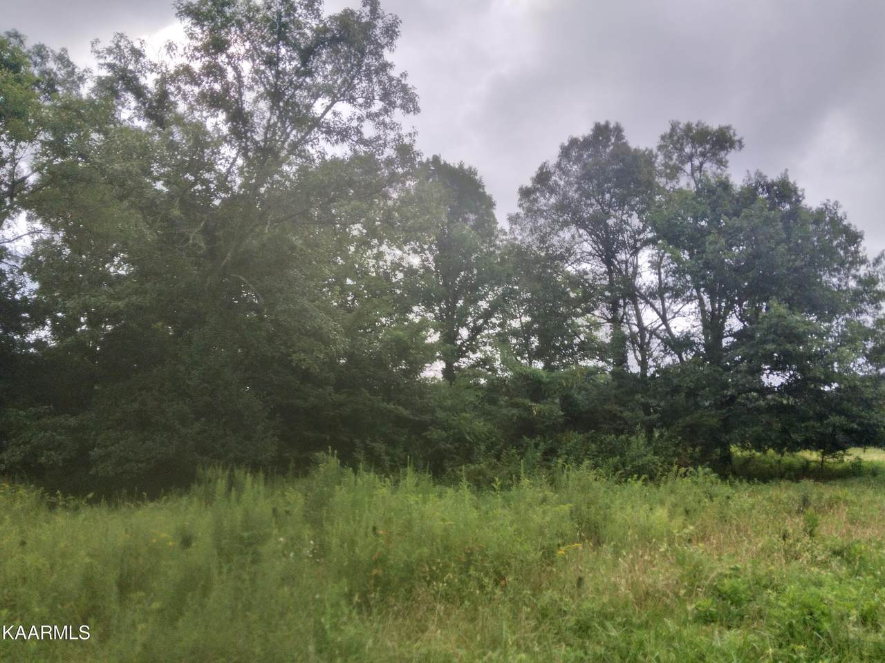 1367&1395 Mt. Carmel Road Rd - Photo 1