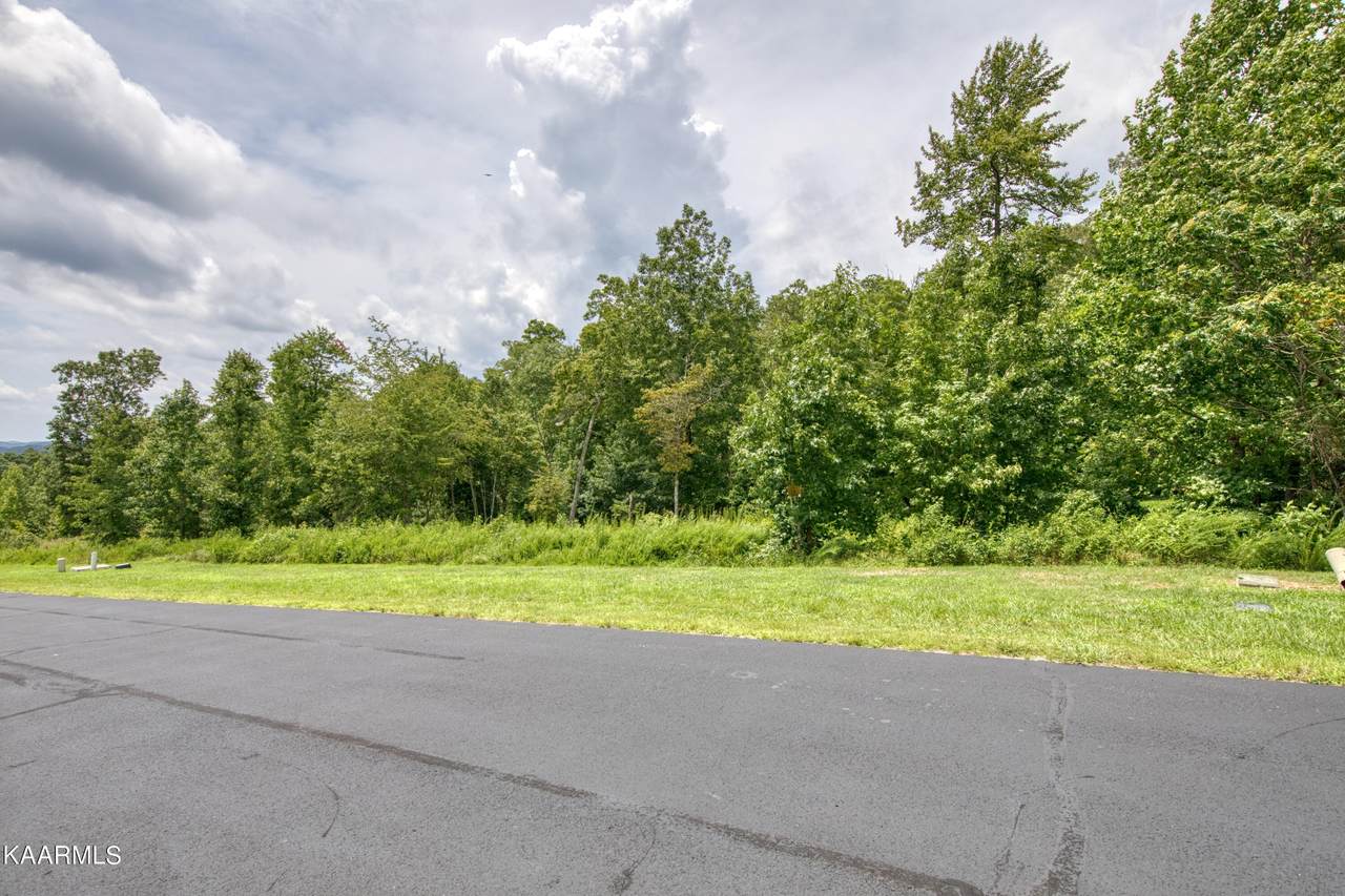 Lot 361 Water View Dr Drive - Photo 1