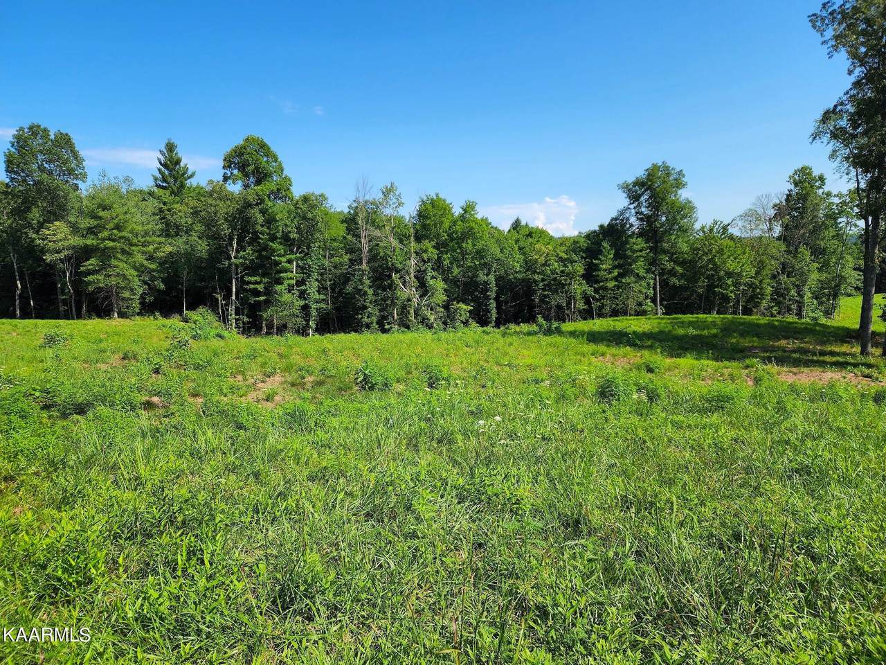 Lot 14 Ridgetop Drive - Photo 1