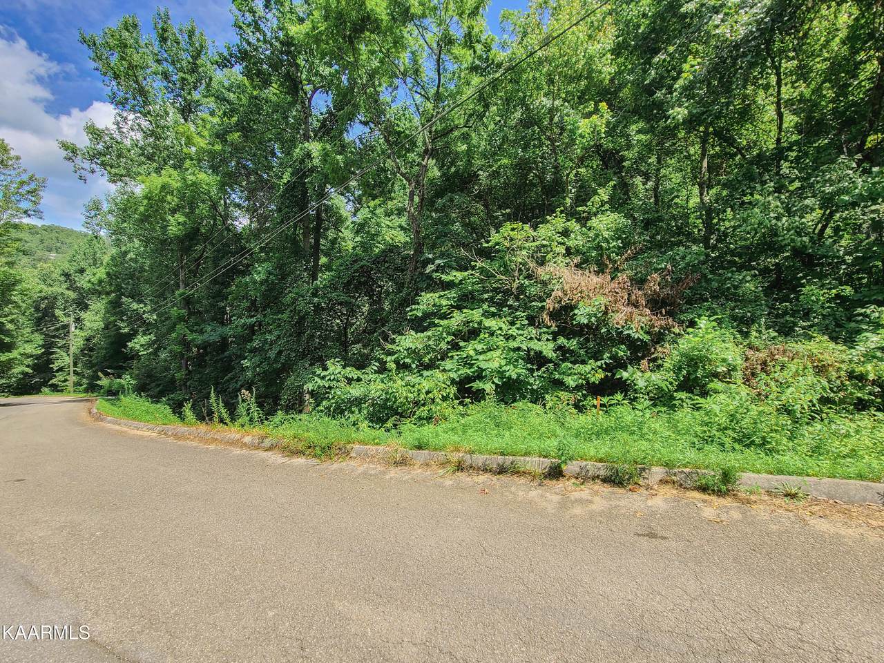 Lot 4 Pulaski Lane - Photo 1