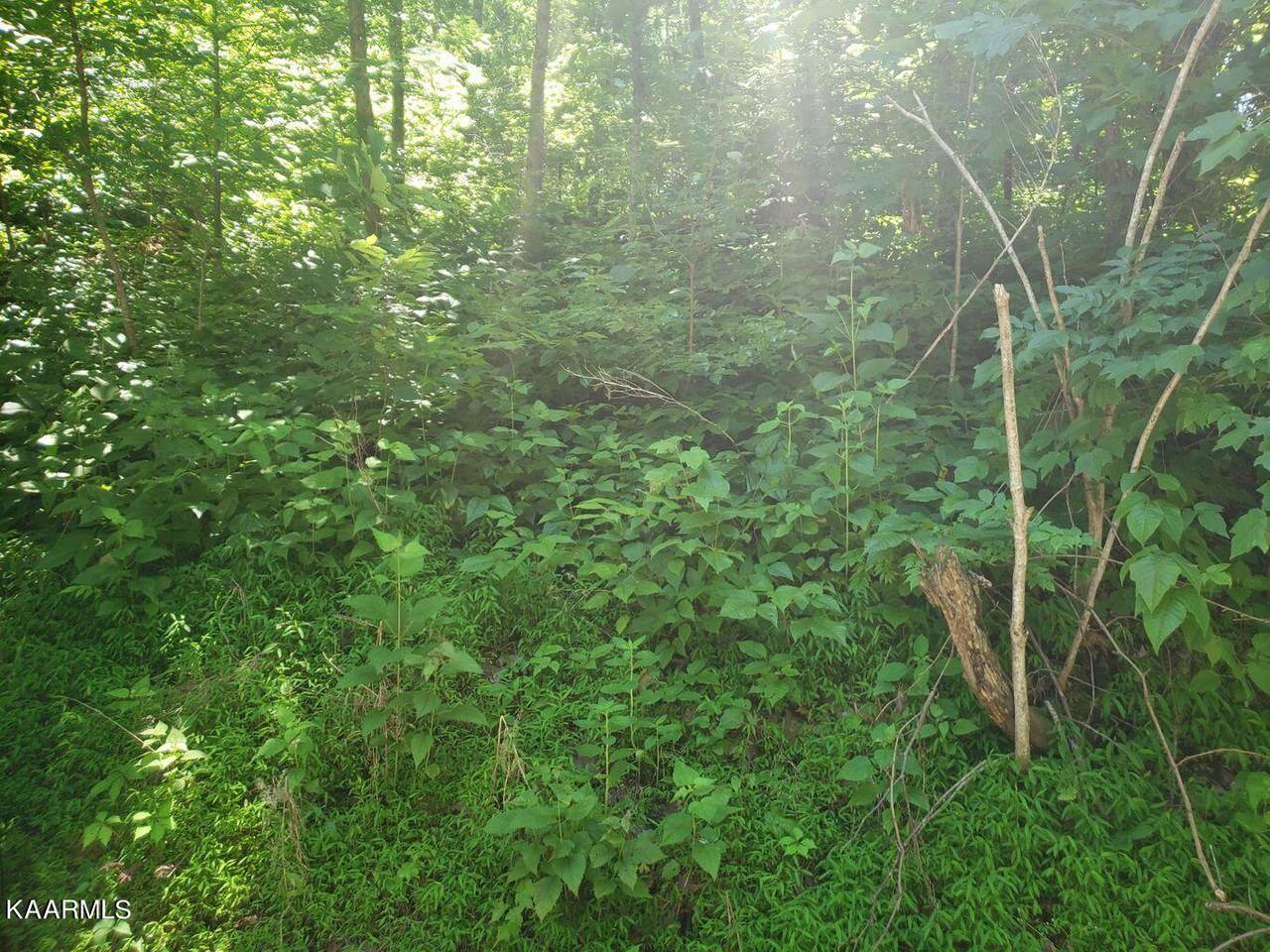 Laurel Lake Circle - Photo 1
