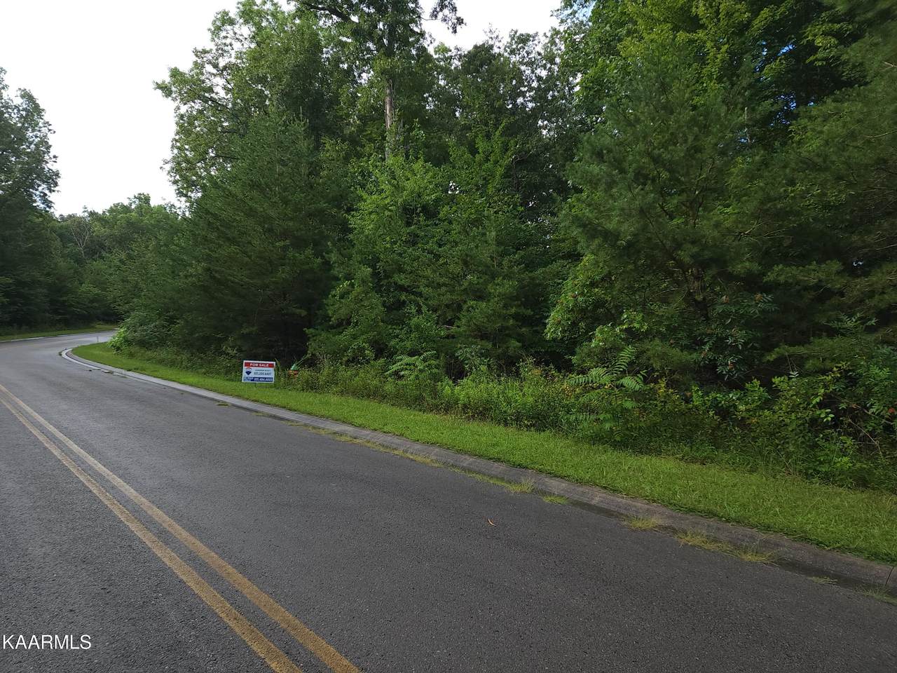 Jackson Court - Photo 1