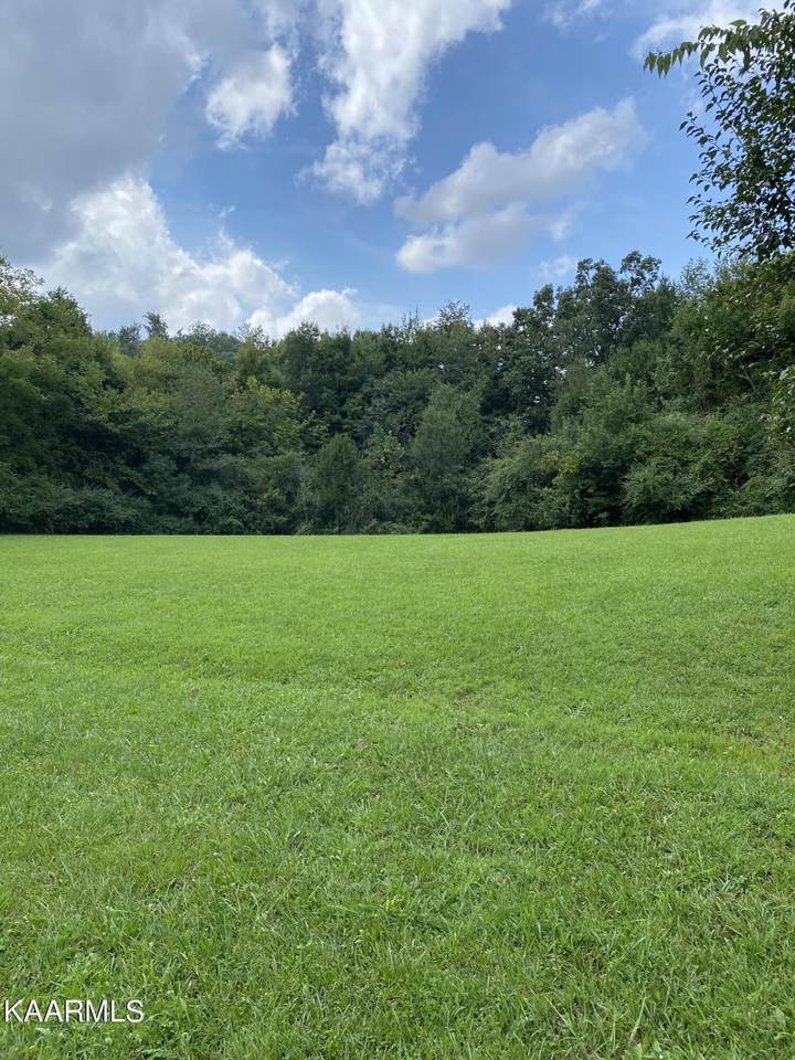 9717 Ball Camp School Rd - Photo 1