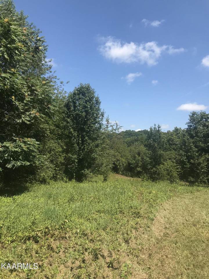 Lot 3R Piney Rd Rd - Photo 1