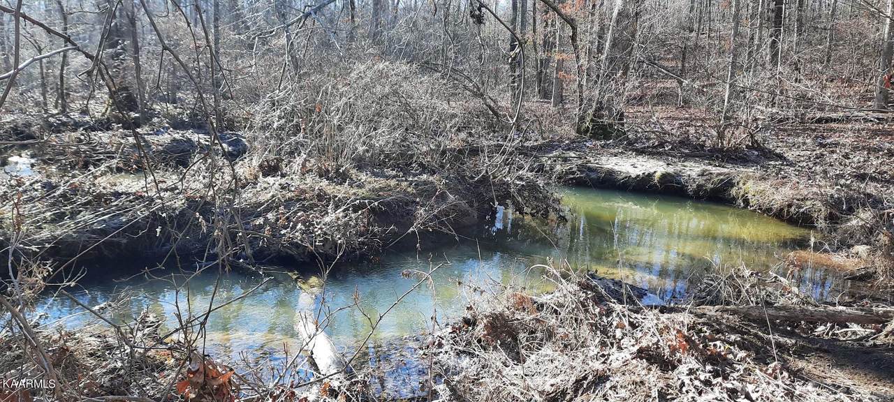 Stanley Hood Rd Off - Photo 1