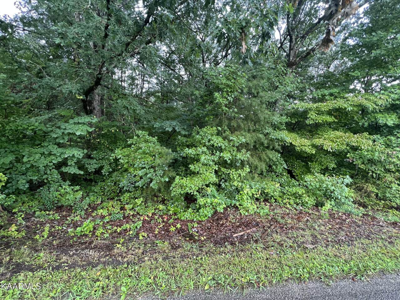 Coal Bank Rd - Photo 1