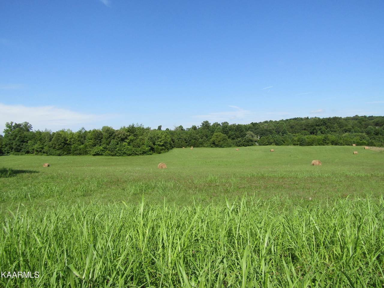 414 Cole Rd - Photo 1