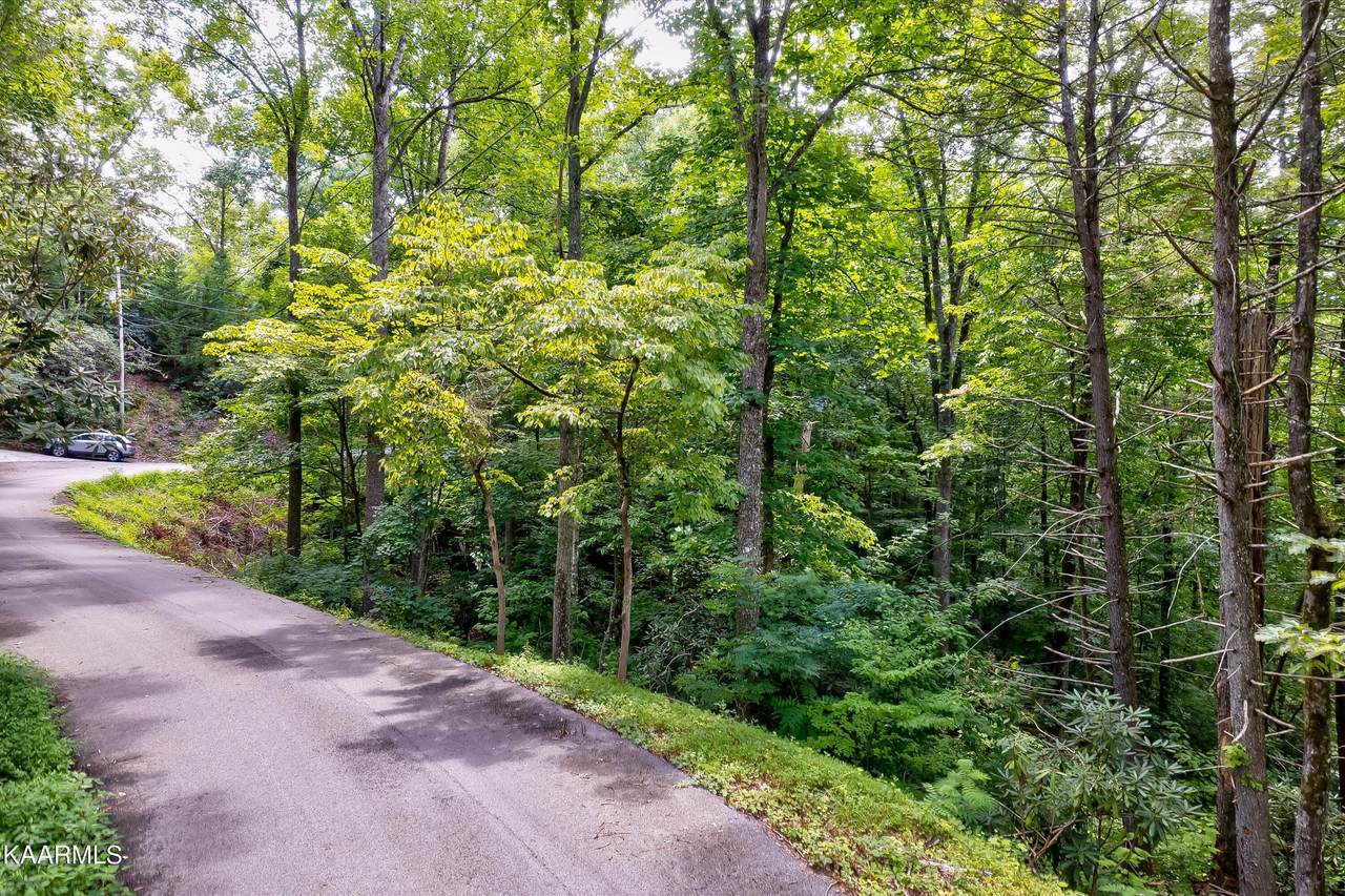 Lot 21&21A Moody Drive - Photo 1