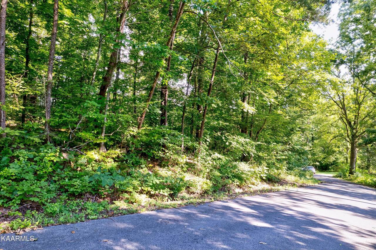 Lot 68 Sandy Point Lane - Photo 1