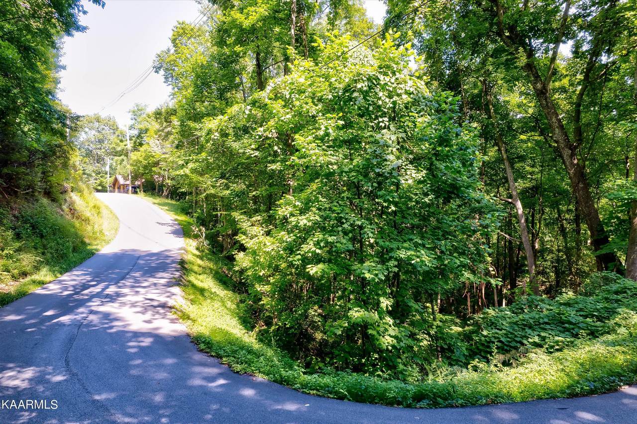 Lot 83&84 Luzerne Drive - Photo 1