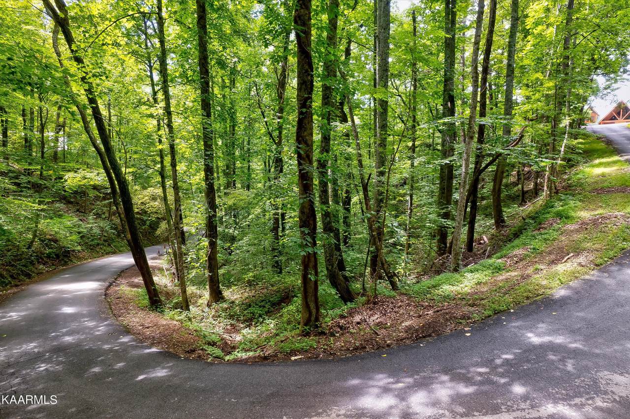 Lot 564 Silver Poplar Lane - Photo 1