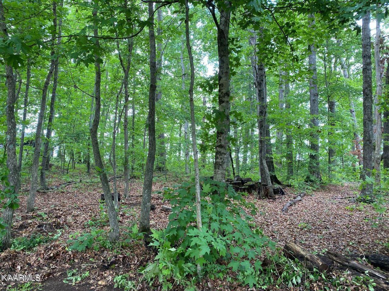 Idlewild Drive - Photo 1
