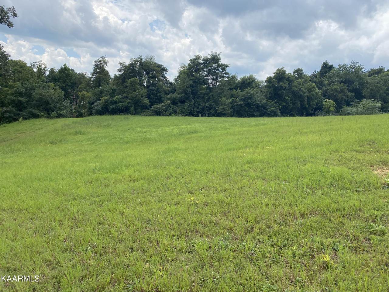 Dogwood Meadows Drive - Photo 1
