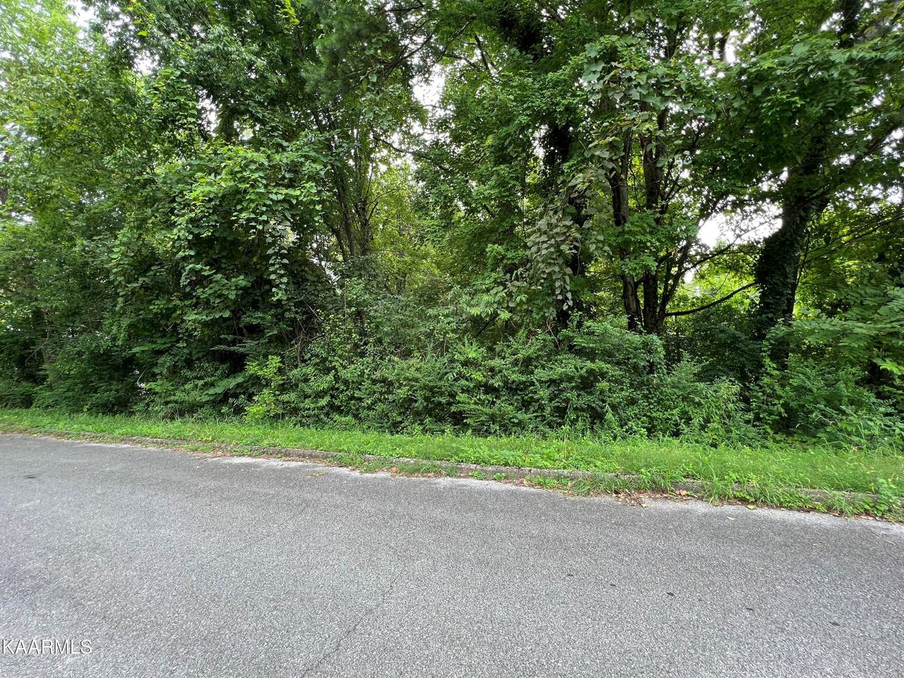 Orchard Knob Rd - Photo 1