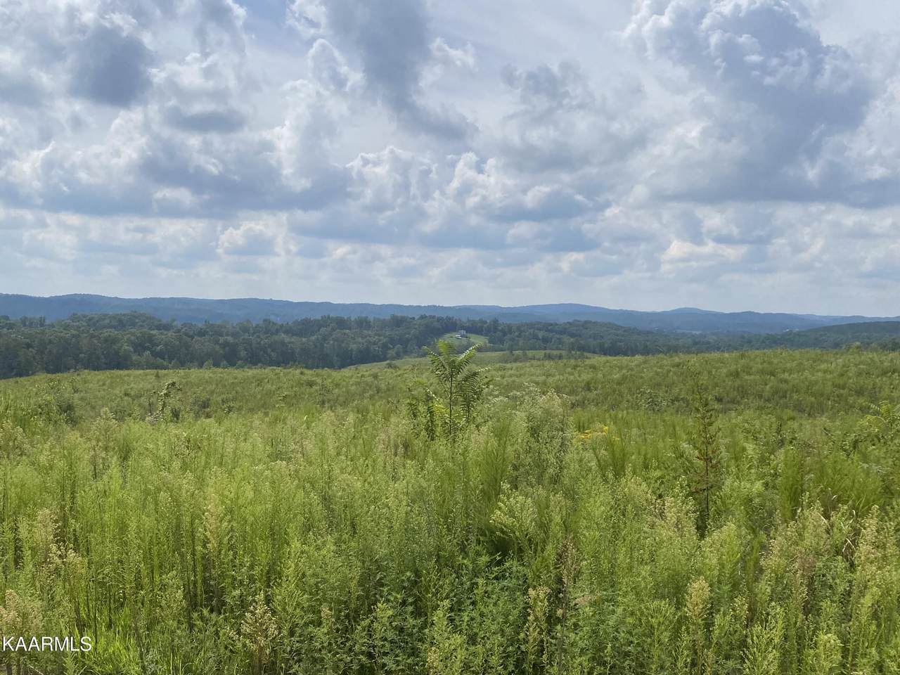 726 Arwine Road - Photo 1